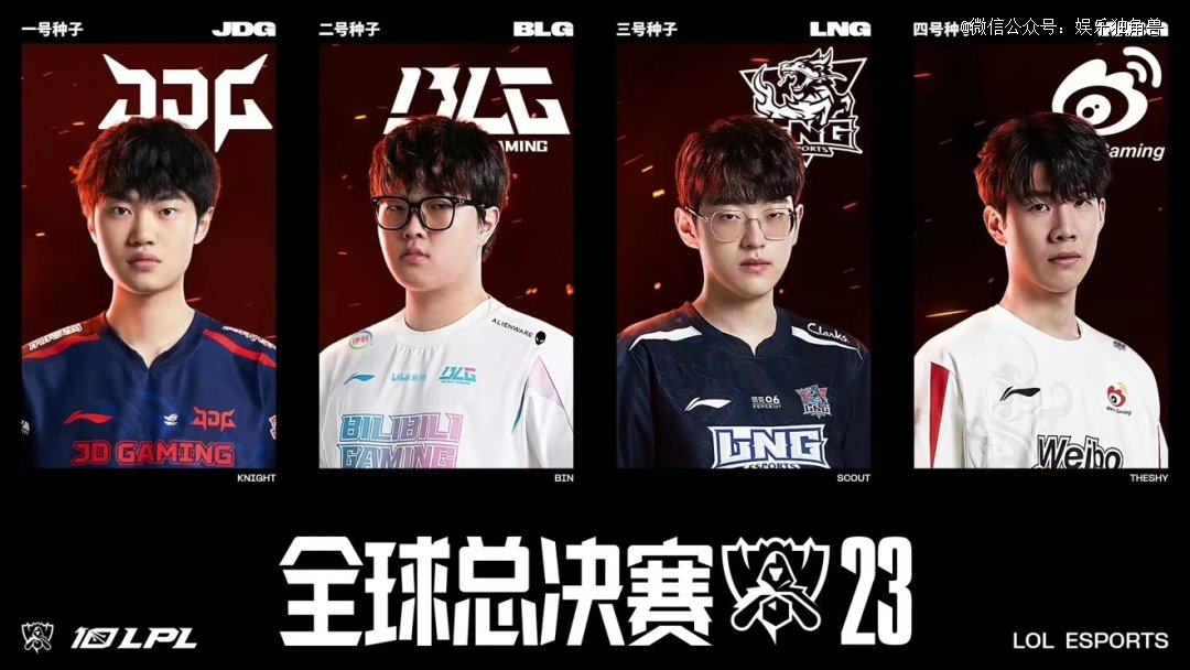 他们不仅为 他们不仅为